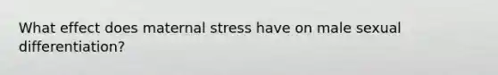 What effect does maternal stress have on male sexual differentiation?