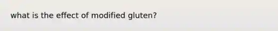 what is the effect of modified gluten?