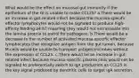 What would be the effect on mucosal gut immunity if the epithelium of the GI is unable to make CCL25? a.There would be an increase in gut-related infect because the mucosa-specific effector lymphocytes would not be signaled to produce high-affinity binding a4:b7 meaning they would not extravasate into the lamina propria to patrol for pathogens. b.There would be a decrease in the number of activated mucosa-specific effector lymphocytes that recognize antigen from the gut lumen, because M-cells would be unable to transport antigen/microbes without the expression of CCL25. c.There would be an increase in gut-related infect because mucosa-specific plasma cells would not be signaled to preferentially switch to IgA production as CCL25 is the key signal produced by dendritic cells to target IgA secretion.