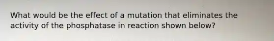 What would be the effect of a mutation that eliminates the activity of the phosphatase in reaction shown below?