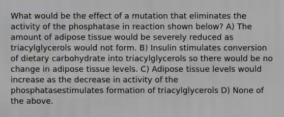 What would be the effect of a mutation that eliminates the activity of the phosphatase in reaction shown below? A) The amount of adipose tissue would be severely reduced as triacylglycerols would not form. B) Insulin stimulates conversion of dietary carbohydrate into triacylglycerols so there would be no change in adipose tissue levels. C) Adipose tissue levels would increase as the decrease in activity of the phosphatasestimulates formation of triacylglycerols D) None of the above.