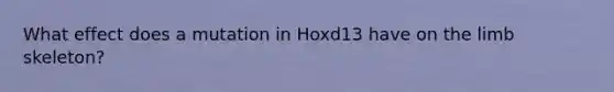 What effect does a mutation in Hoxd13 have on the limb skeleton?