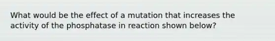 What would be the effect of a mutation that increases the activity of the phosphatase in reaction shown below?