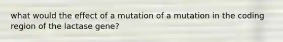 what would the effect of a mutation of a mutation in the coding region of the lactase gene?