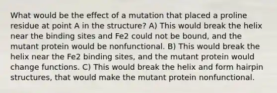 What would be the effect of a mutation that placed a proline residue at point A in the structure? A) This would break the helix near the binding sites and Fe2 could not be bound, and the mutant protein would be nonfunctional. B) This would break the helix near the Fe2 binding sites, and the mutant protein would change functions. C) This would break the helix and form hairpin structures, that would make the mutant protein nonfunctional.