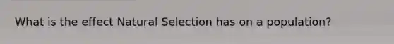 What is the effect Natural Selection has on a population?