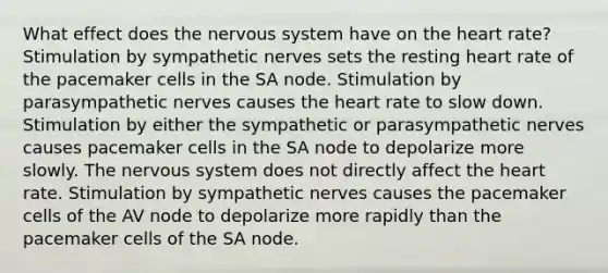 What effect does the nervous system have on the heart rate? Stimulation by sympathetic nerves sets the resting heart rate of the pacemaker cells in the SA node. Stimulation by parasympathetic nerves causes the heart rate to slow down. Stimulation by either the sympathetic or parasympathetic nerves causes pacemaker cells in the SA node to depolarize more slowly. The nervous system does not directly affect the heart rate. Stimulation by sympathetic nerves causes the pacemaker cells of the AV node to depolarize more rapidly than the pacemaker cells of the SA node.