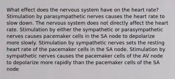 What effect does the nervous system have on the heart rate? Stimulation by parasympathetic nerves causes the heart rate to slow down. The nervous system does not directly affect the heart rate. Stimulation by either the sympathetic or parasympathetic nerves causes pacemaker cells in the SA node to depolarize more slowly. Stimulation by sympathetic nerves sets the resting heart rate of the pacemaker cells in the SA node. Stimulation by sympathetic nerves causes the pacemaker cells of the AV node to depolarize more rapidly than the pacemaker cells of the SA node