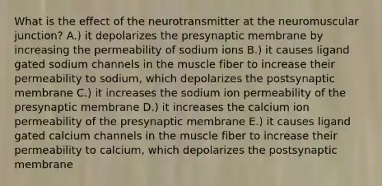 What is the effect of the neurotransmitter at the neuromuscular junction? A.) it depolarizes the presynaptic membrane by increasing the permeability of sodium ions B.) it causes ligand gated sodium channels in the muscle fiber to increase their permeability to sodium, which depolarizes the postsynaptic membrane C.) it increases the sodium ion permeability of the presynaptic membrane D.) it increases the calcium ion permeability of the presynaptic membrane E.) it causes ligand gated calcium channels in the muscle fiber to increase their permeability to calcium, which depolarizes the postsynaptic membrane