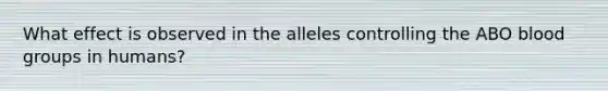 What effect is observed in the alleles controlling the ABO <a href='https://www.questionai.com/knowledge/kYZPOX2Y3u-blood-groups' class='anchor-knowledge'>blood groups</a> in humans?