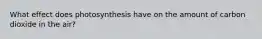 What effect does photosynthesis have on the amount of carbon dioxide in the air?