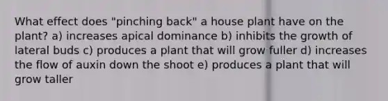 What effect does "pinching back" a house plant have on the plant? a) increases apical dominance b) inhibits the growth of lateral buds c) produces a plant that will grow fuller d) increases the flow of auxin down the shoot e) produces a plant that will grow taller