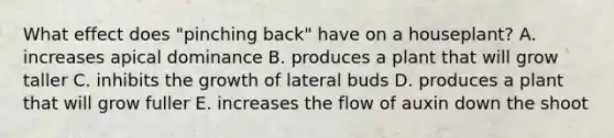 What effect does "pinching back" have on a houseplant? A. increases apical dominance B. produces a plant that will grow taller C. inhibits the growth of lateral buds D. produces a plant that will grow fuller E. increases the flow of auxin down the shoot