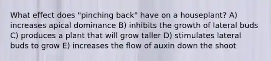 What effect does "pinching back" have on a houseplant? A) increases apical dominance B) inhibits the growth of lateral buds C) produces a plant that will grow taller D) stimulates lateral buds to grow E) increases the flow of auxin down the shoot