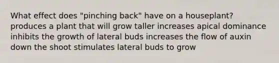 What effect does "pinching back" have on a houseplant? produces a plant that will grow taller increases apical dominance inhibits the growth of lateral buds increases the flow of auxin down the shoot stimulates lateral buds to grow