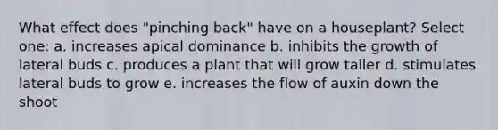 What effect does "pinching back" have on a houseplant? Select one: a. increases apical dominance b. inhibits the growth of lateral buds c. produces a plant that will grow taller d. stimulates lateral buds to grow e. increases the flow of auxin down the shoot