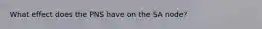 What effect does the PNS have on the SA node?