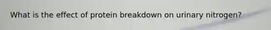 What is the effect of protein breakdown on urinary nitrogen?