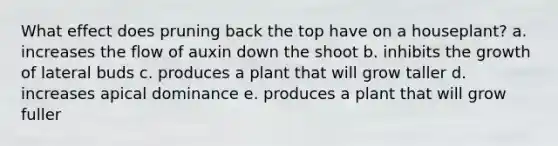 What effect does pruning back the top have on a houseplant? a. increases the flow of auxin down the shoot b. inhibits the growth of lateral buds c. produces a plant that will grow taller d. increases apical dominance e. produces a plant that will grow fuller