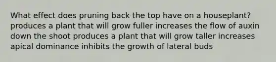 What effect does pruning back the top have on a houseplant? produces a plant that will grow fuller increases the flow of auxin down the shoot produces a plant that will grow taller increases apical dominance inhibits the growth of lateral buds