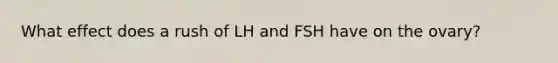 What effect does a rush of LH and FSH have on the ovary?