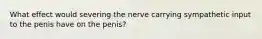 What effect would severing the nerve carrying sympathetic input to the penis have on the penis?