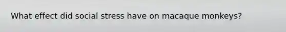 What effect did social stress have on macaque monkeys?