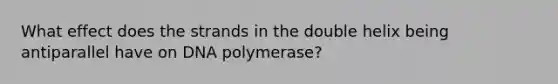 What effect does the strands in the double helix being antiparallel have on DNA polymerase?