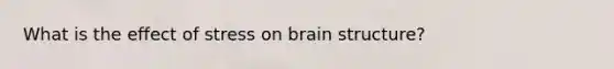 What is the effect of stress on brain structure?