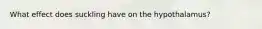 What effect does suckling have on the hypothalamus?