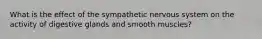 What is the effect of the sympathetic nervous system on the activity of digestive glands and smooth muscles?