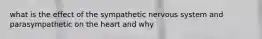 what is the effect of the sympathetic nervous system and parasympathetic​ on the heart and why