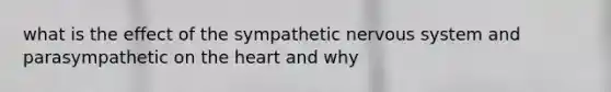 what is the effect of the sympathetic nervous system and parasympathetic​ on the heart and why