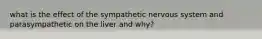 what is the effect of the sympathetic nervous system and parasympathetic​ on the liver and why?