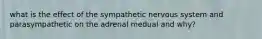 what is the effect of the sympathetic nervous system and parasympathetic​ on the adrenal medual and why?