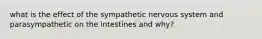what is the effect of the sympathetic nervous system and parasympathetic​​ on the intestines and why?