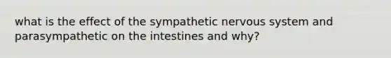 what is the effect of the sympathetic nervous system and parasympathetic​​ on the intestines and why?