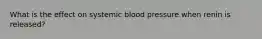 What is the effect on systemic blood pressure when renin is released?