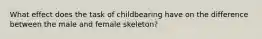 What effect does the task of childbearing have on the difference between the male and female skeleton?