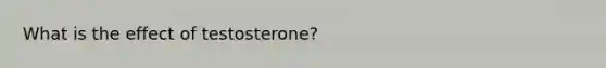 What is the effect of testosterone?