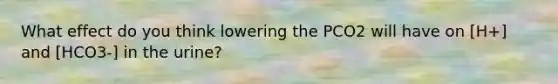 What effect do you think lowering the PCO2 will have on [H+] and [HCO3-] in the urine?