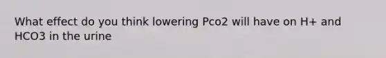 What effect do you think lowering Pco2 will have on H+ and HCO3 in the urine