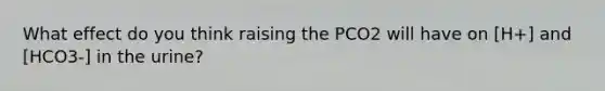 What effect do you think raising the PCO2 will have on [H+] and [HCO3-] in the urine?