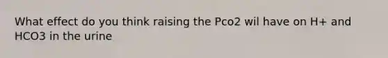 What effect do you think raising the Pco2 wil have on H+ and HCO3 in the urine