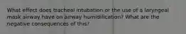 What effect does tracheal intubation or the use of a laryngeal mask airway have on airway humidification? What are the negative consequences of this?