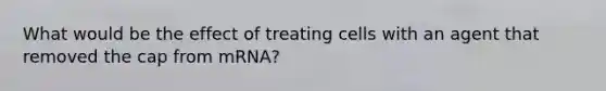 What would be the effect of treating cells with an agent that removed the cap from mRNA?