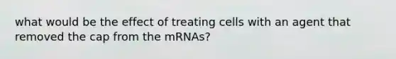 what would be the effect of treating cells with an agent that removed the cap from the mRNAs?