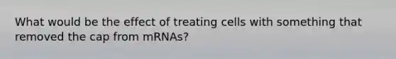 What would be the effect of treating cells with something that removed the cap from mRNAs?