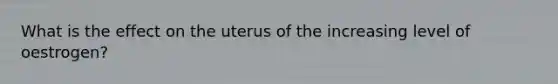 What is the effect on the uterus of the increasing level of oestrogen?