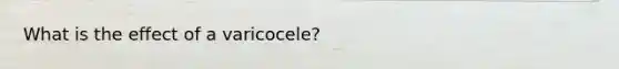 What is the effect of a varicocele?